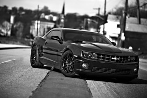 重塑辉煌！上海申花，新赛季，新征程，新梦想！